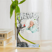 Decorative mirror with a tree and bird design on a white wall.