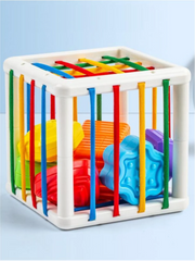 Educational Fun: Baby Shape Sorter Cube Toy