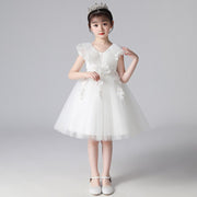 Floral Pattern Embroidered Lace Princess Party Dress