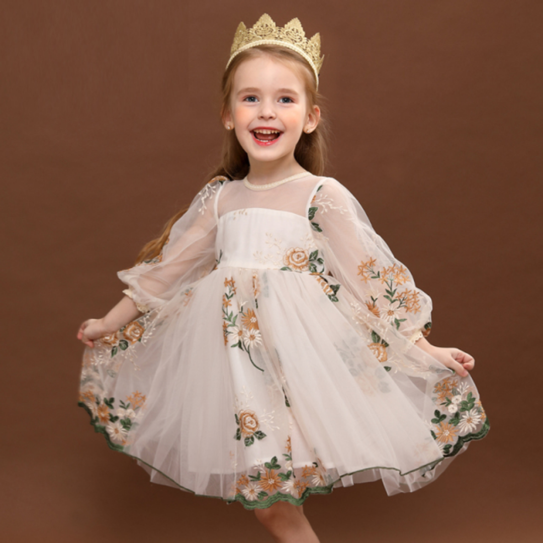 Embroidered Rose Pattern Puff Sleeves Princess Dress, Light Blue / 9 Embroidered Rose Pattern Puff Sleeves Princess Dress, Light Blue / 9