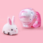 Car Watch Toy: LED Lights, 2.4GHz, Birthday Gift (Rabbit/Crab)