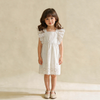 Flutter Dress – Baby & Toddler Dress with Flutter Sleeves