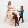 Children playing with a wooden climbing toy on a white background