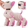 Interactive Robot Dog Toy with Voice Command, 2.4GHz Remote Control, Touch Sensor, and STEM Programming Mode—Lively Stunt Pet for Kids (Pink/Orange)