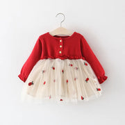 Spring Princess Lace Baby Dresses (6M-3T)