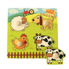 Montessori Wooden Learning Toys – Puzzles, Mazes & Matching Games