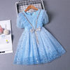 Lace and Sequins Puff Sleeves Snow Princess Costume Dress