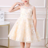 Floral Pattern Embroidered Lace Princess Party Dress