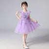 Halter Lapel Lace Flower Girl Princess Dress