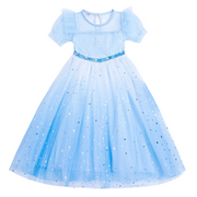 Ruffle Puff Sleeves and Sequins Snow Princess Costume Dress