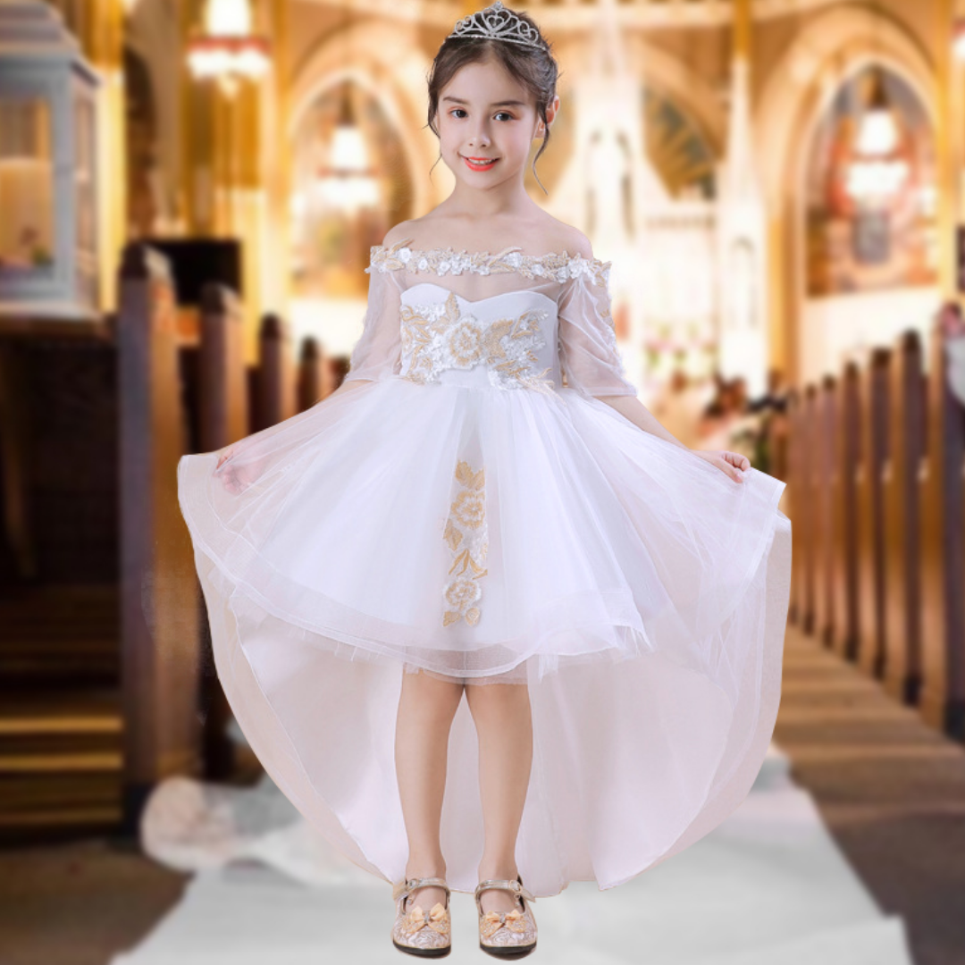Princess party frocks best sale